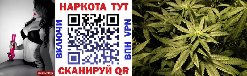 Где купить Ясногорск Альфа ПВП Псилоцибиновые грибы МЕФ Гашиш МАРИХУАНА