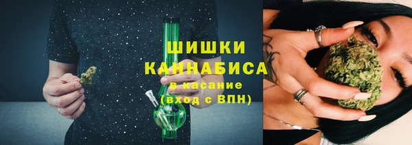 мяу мяу мука Белокуриха
