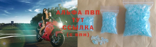 мяу мяу мука Белокуриха