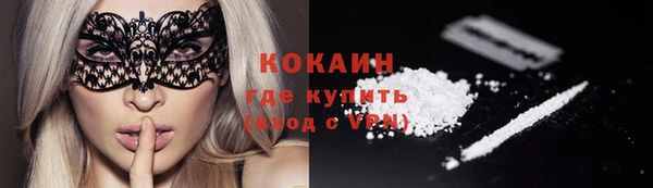 мяу мяу мука Белокуриха