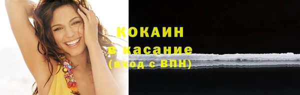 мяу мяу мука Белокуриха
