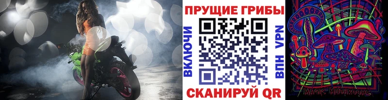 купить наркотики сайты Ясногорск Псилоцибиновые грибы MAGIC MUSHROOMS